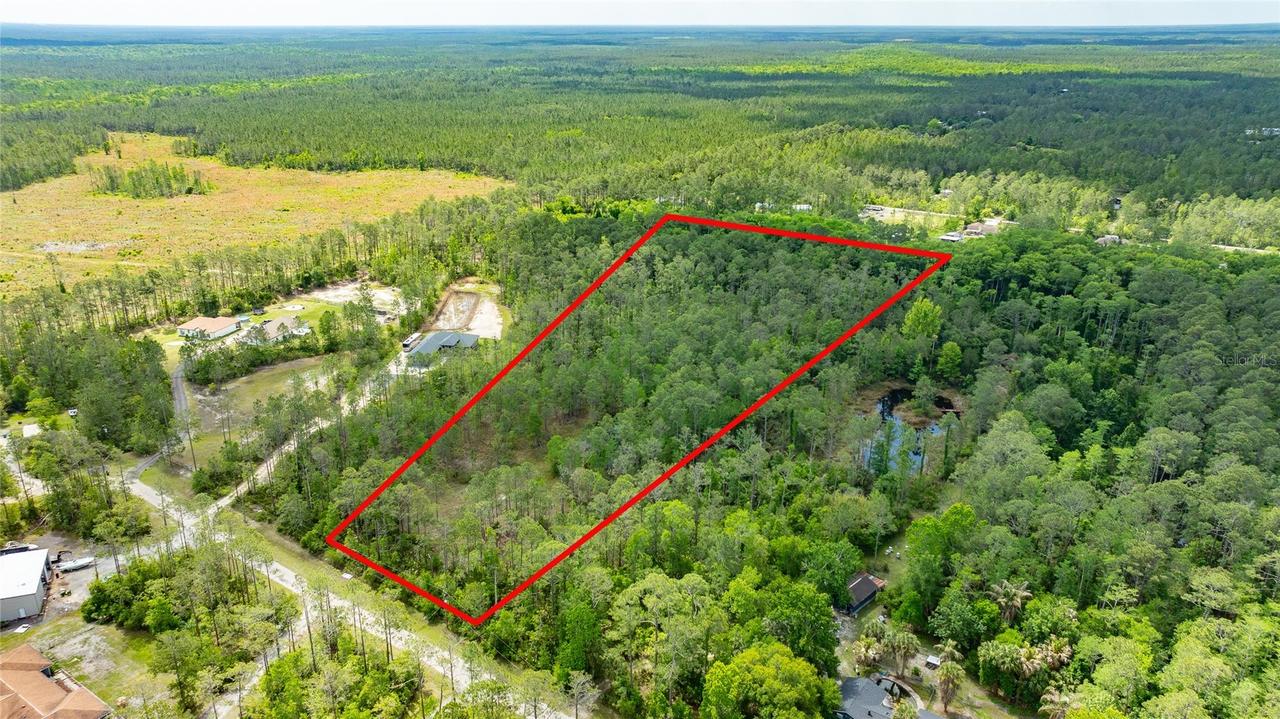 3623 Conifer Ln., Ormond Beach, FL 32174
