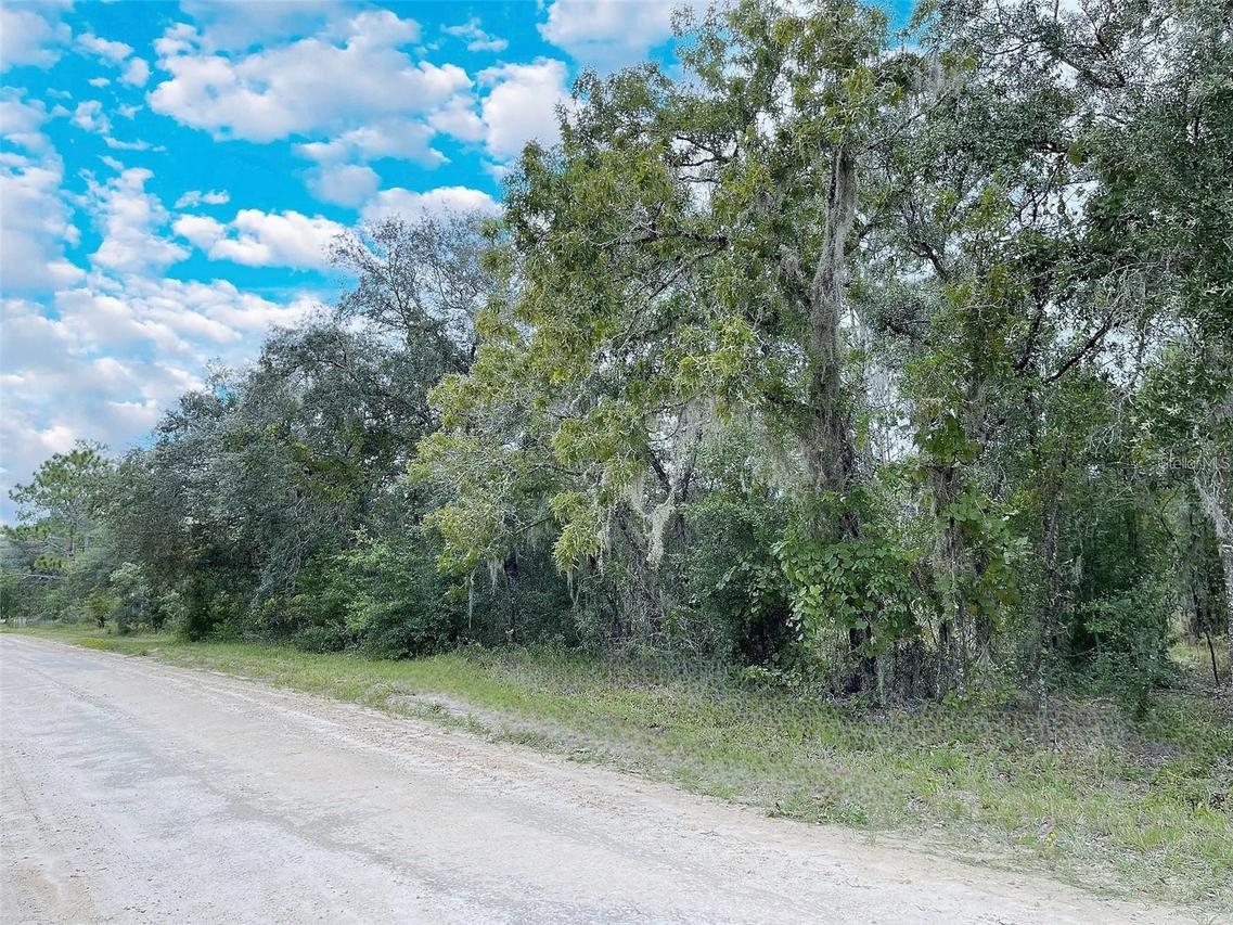 14250 SE 2nd St., Williston, FL 32696
