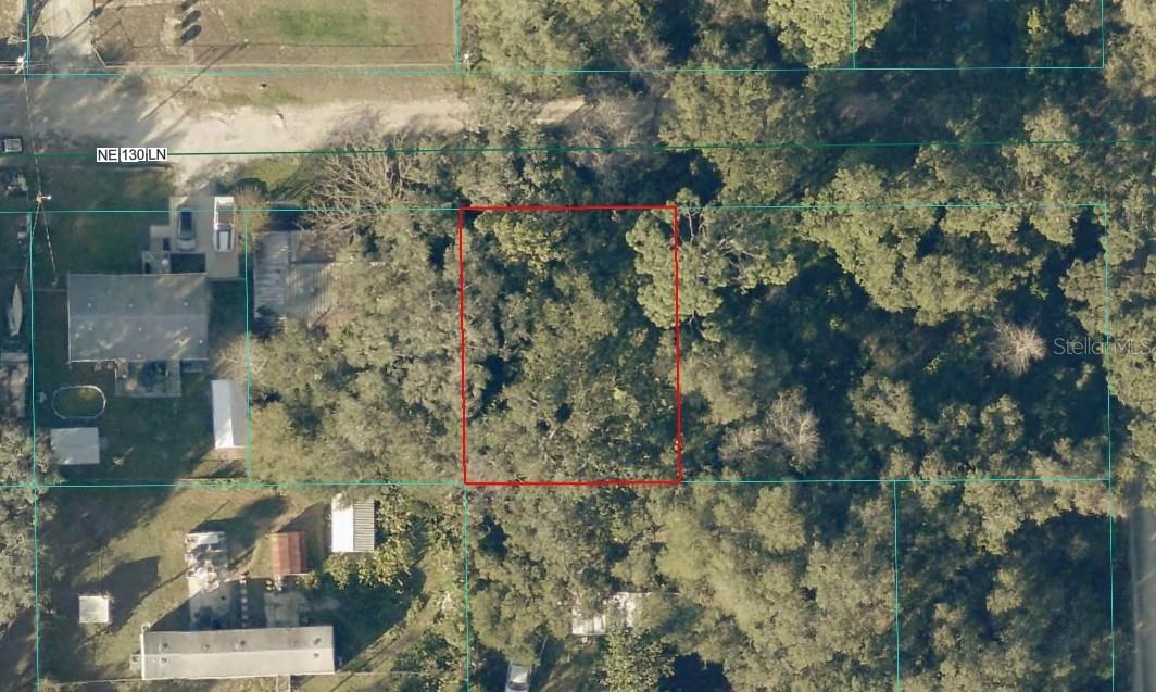 TBD LOT 34 NE 130th Ln., Salt Springs, FL 32134