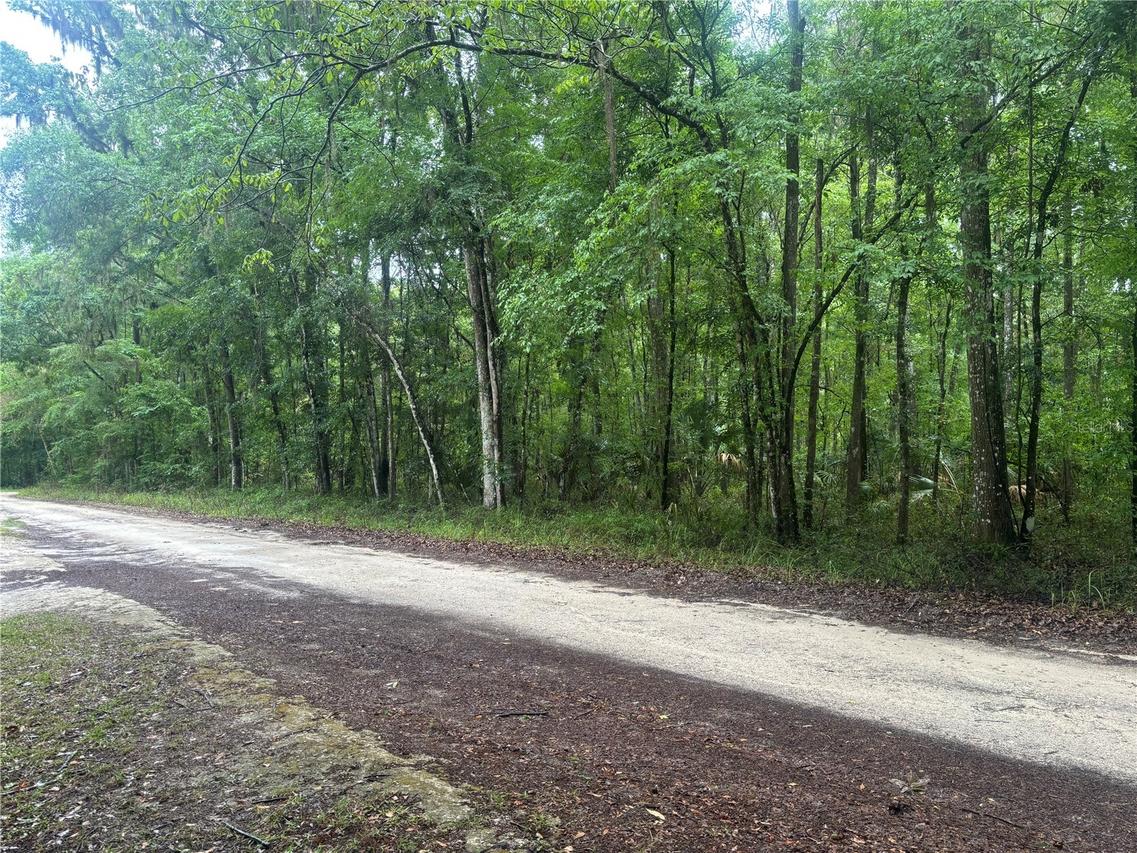 0000 SW 14th Pl., Ocala, FL 34481