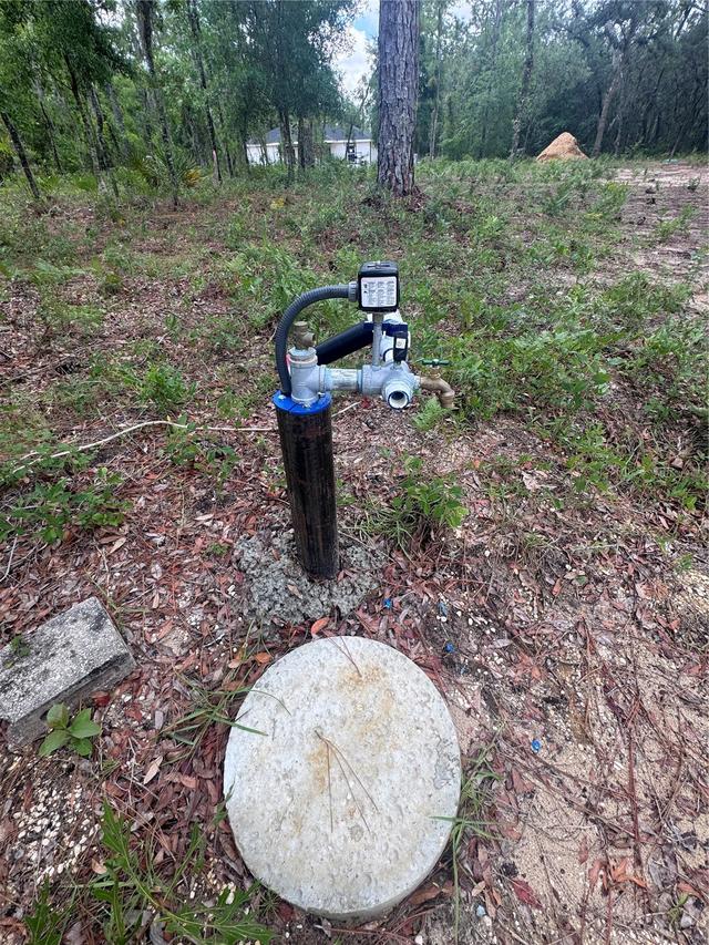 TBD NE 16th Pl., Williston, FL 32696