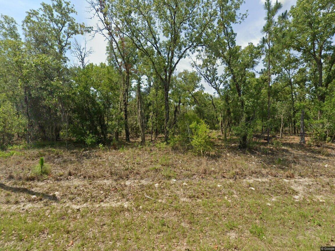 1900 W Magenta Dr., Dunnellon, FL 34434