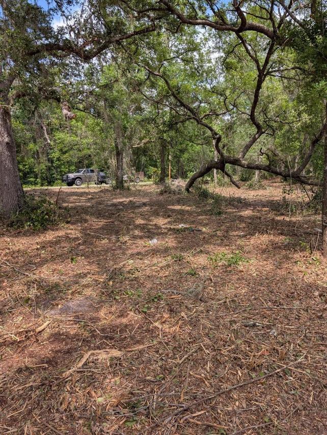 TBD NE 220th St., Fort Mc Coy, FL 32134