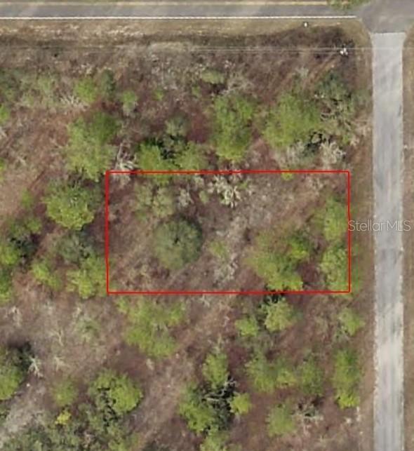 TBD SW Temple Heights Ct., Dunnellon, FL 34431