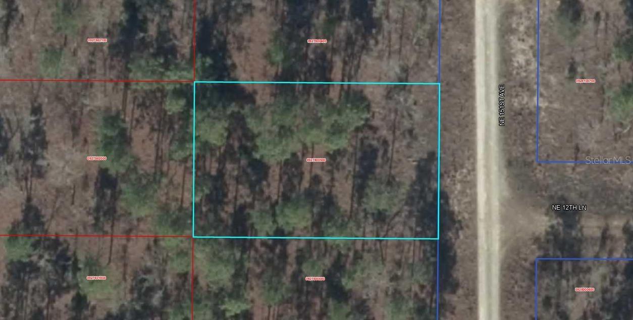 00 NE 151st Ave., Williston, FL 32696
