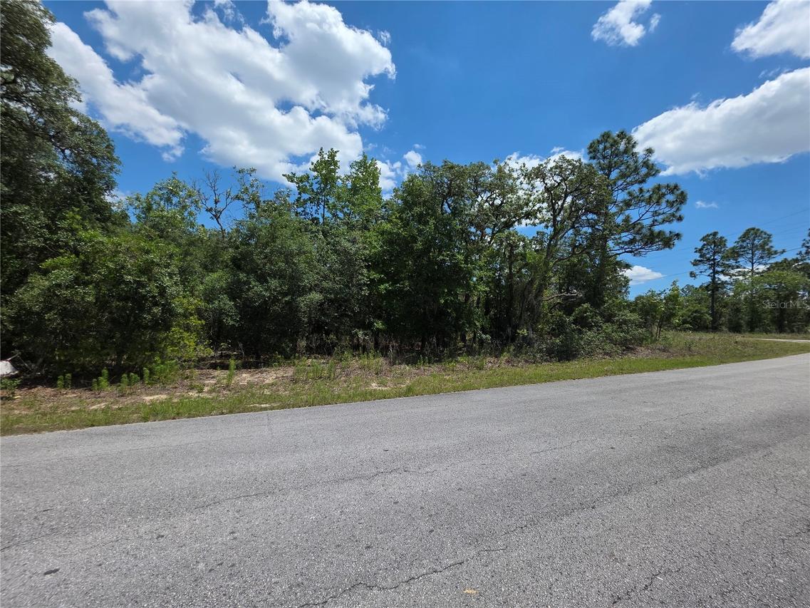 Lot 18 SW Wood Rd., Dunnellon, FL 34431