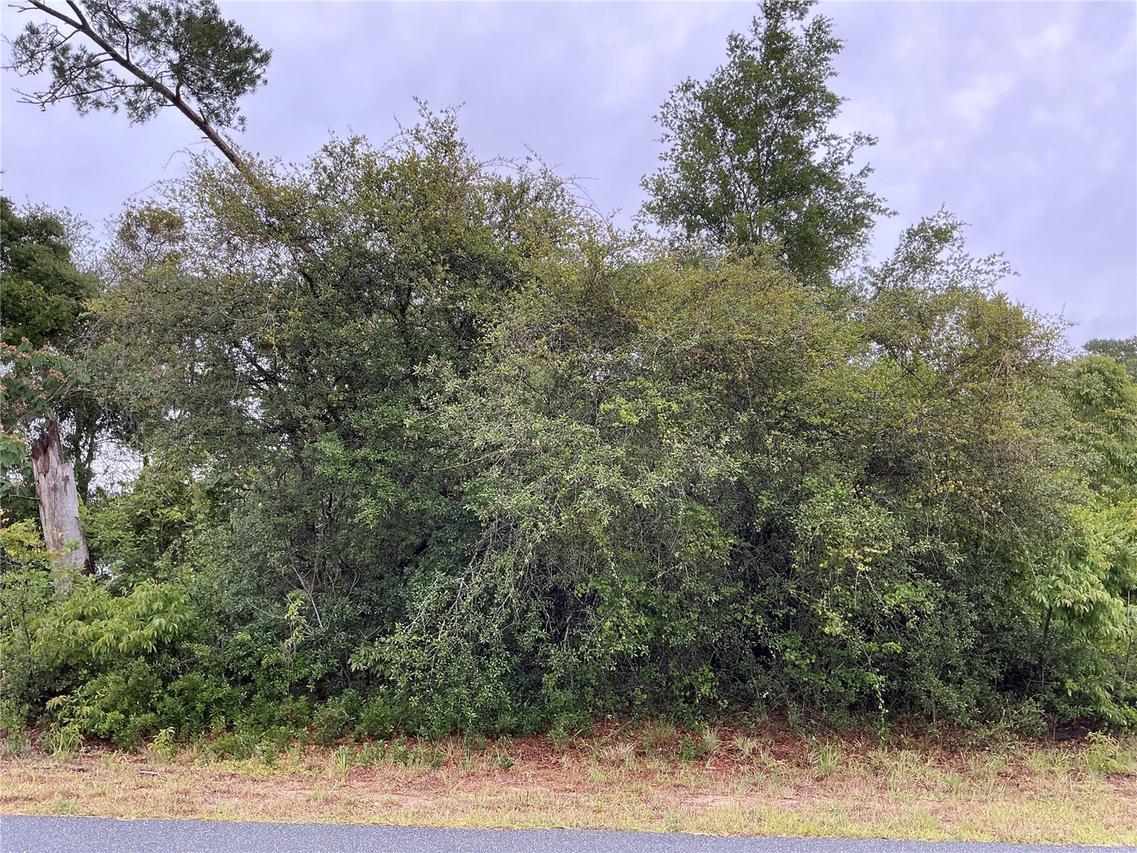 SW 165th Pl., Ocala, FL 34473