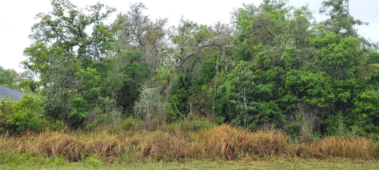 Spruce Rd., Ocala, FL 34472