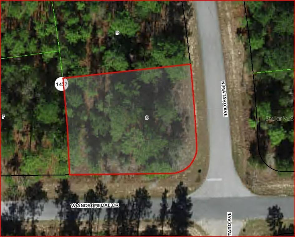 11016 N Mataro Ave., Citrus Springs, FL 34434
