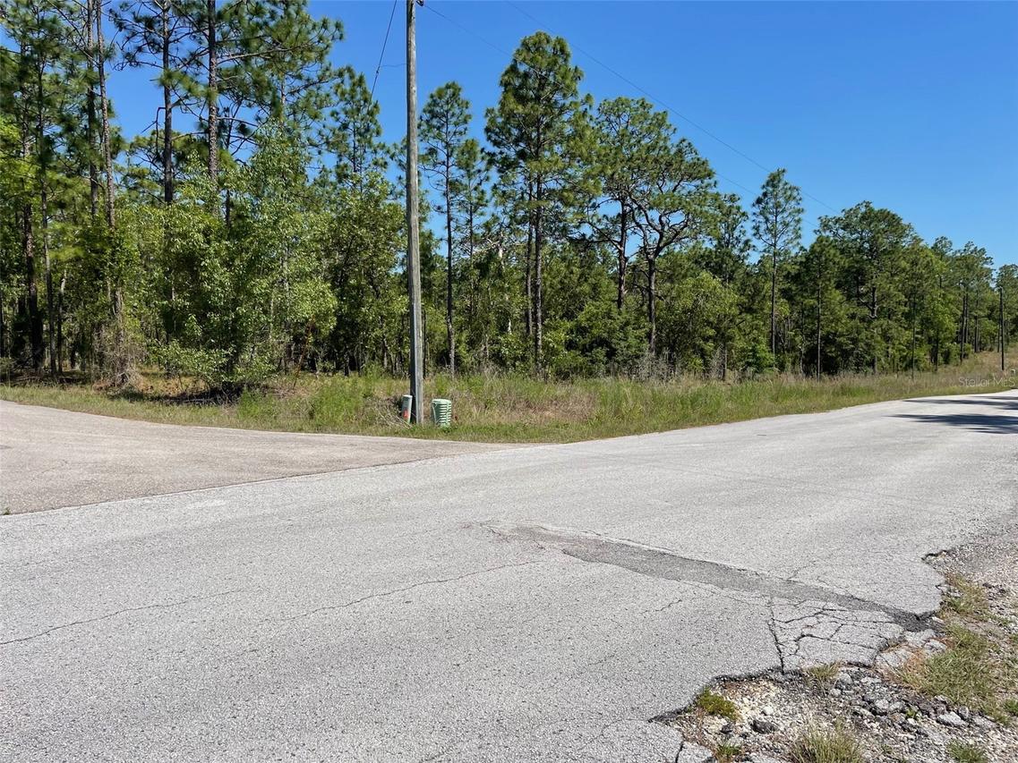 LOT 1 NW Mandrake Dr., Dunnellon, FL 34431