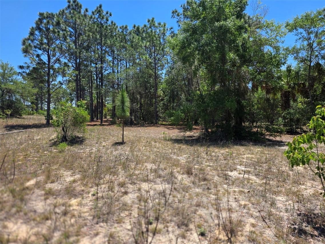 11837 N Captiva Ter., Dunnellon, FL 34433