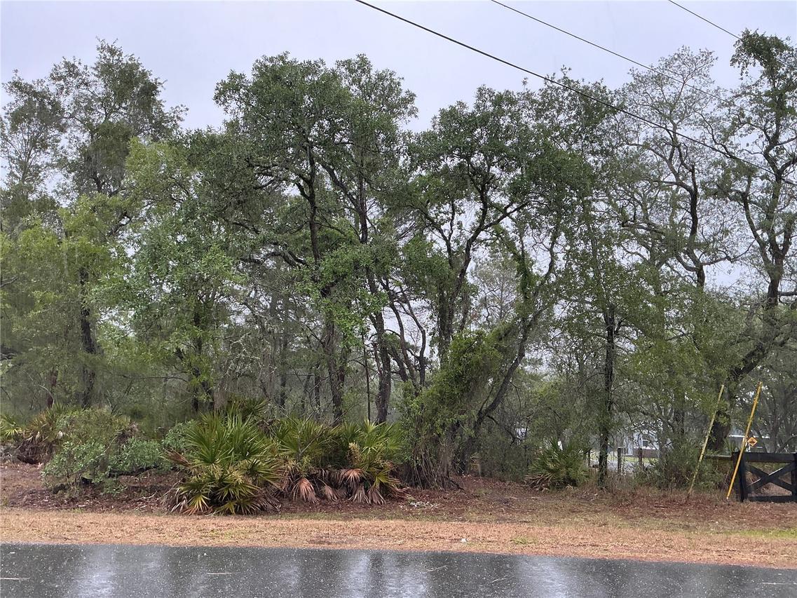 10353 Meadow Wren Ave., Weeki Wachee, FL 34613