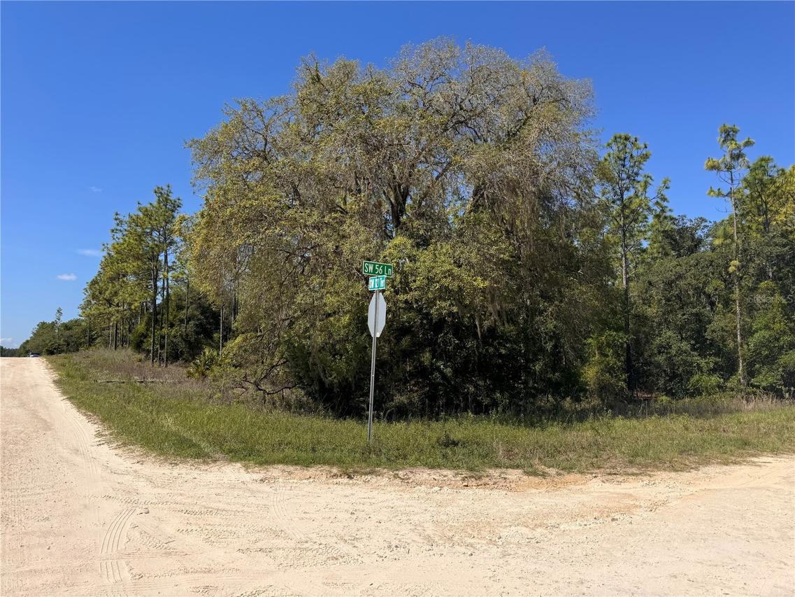 SW 56th Ln., Ocala, FL 34481