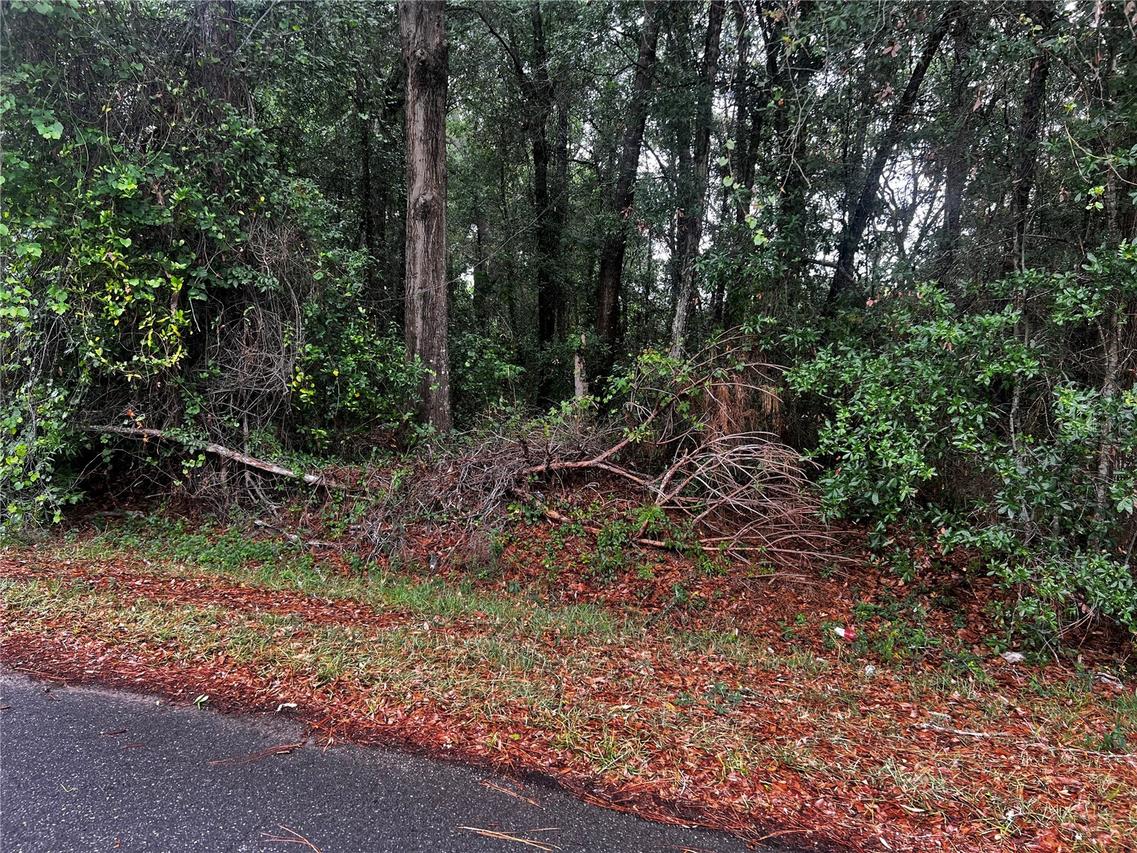 TBD NW 61st Ln., Ocala, FL 34482