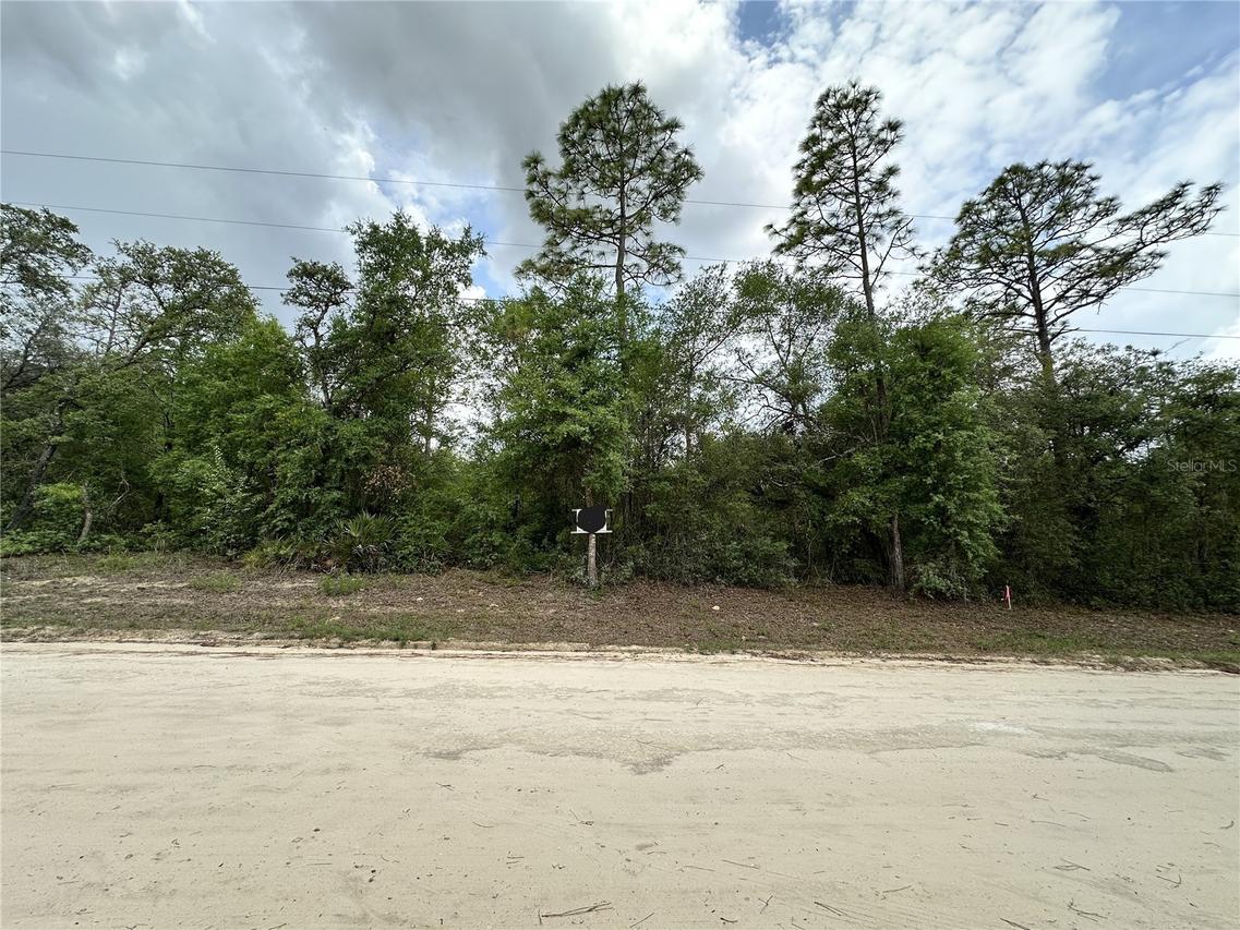 NE 112th Ct., Archer, FL 32618