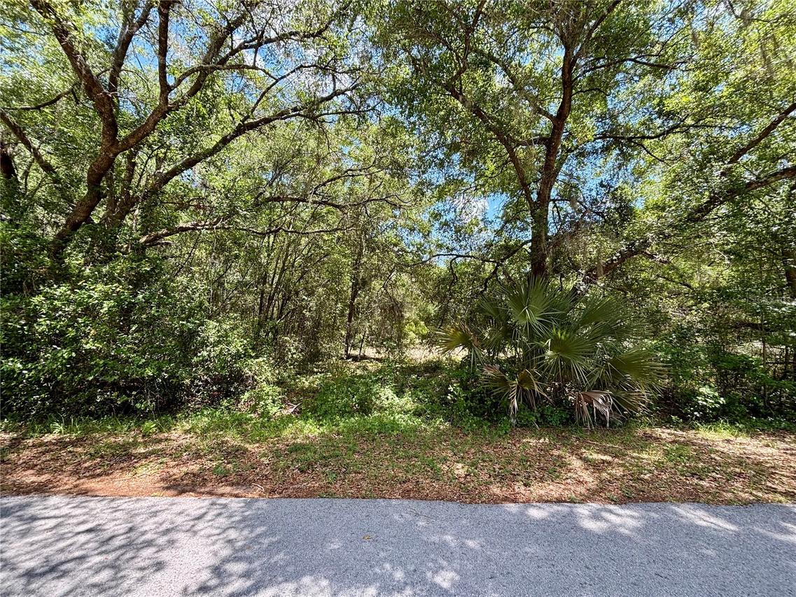 Lot 15 SW Shorewood Dr., Dunnellon, FL 34431