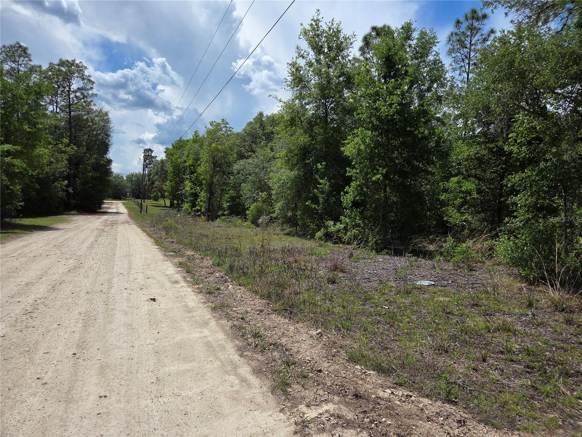0000 NE 73rd Ln., Bronson, FL 32621
