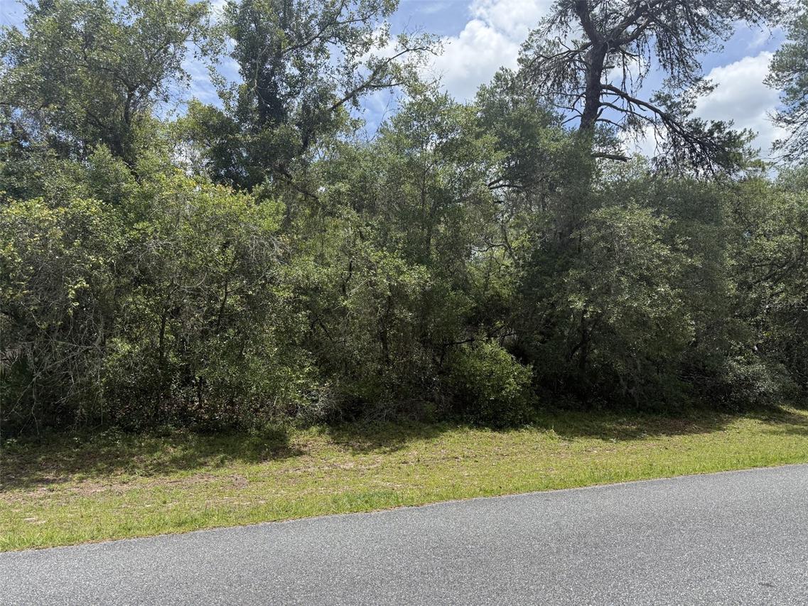 TBD SW 29th Terrace Rd., Ocala, FL 34473