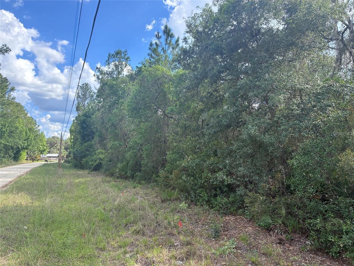16464 NE 35 Rd., Citra, FL 32113