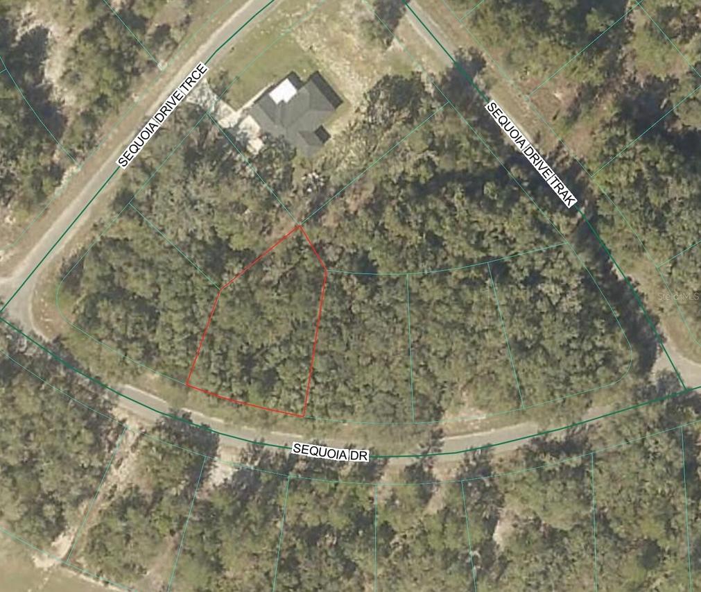 Sequoia Loop Dr., Ocklawaha, FL 32179