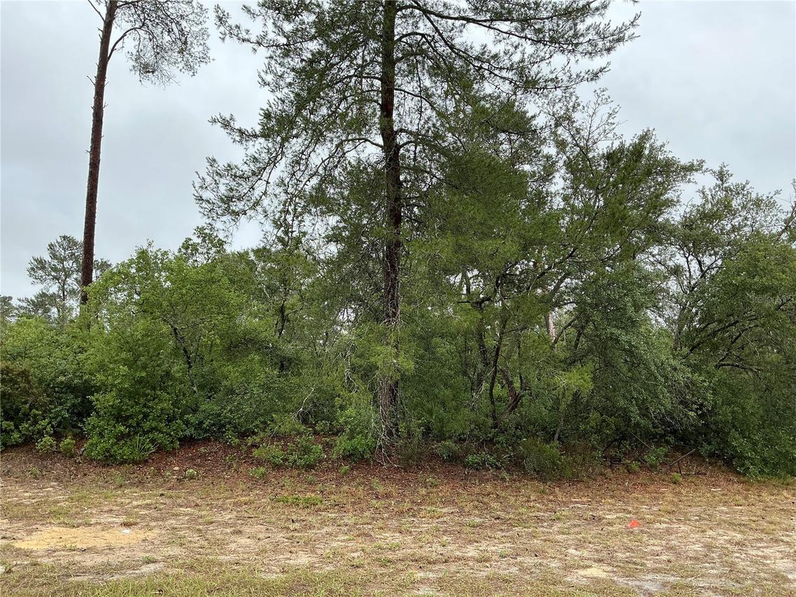 TBD SW 20th Ct., Ocala, FL 34473