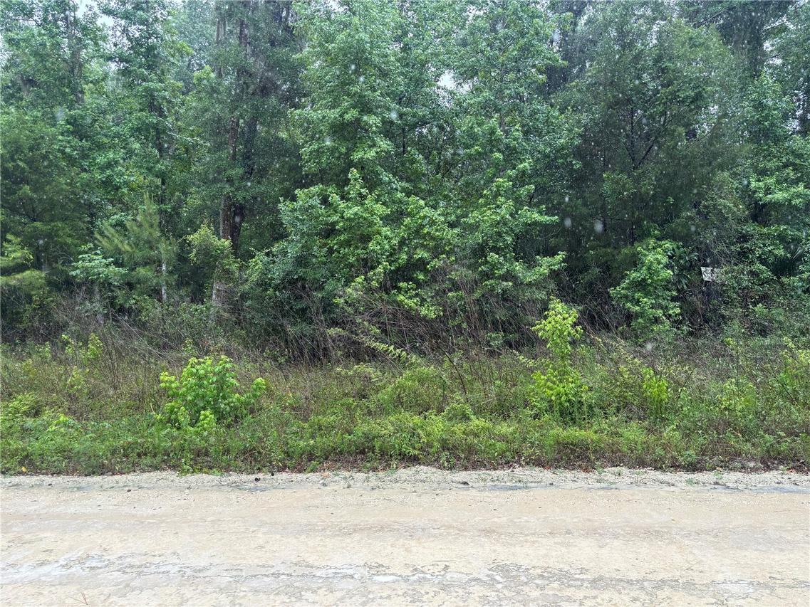 0000 SW 7th Ln., Ocala, FL 34481