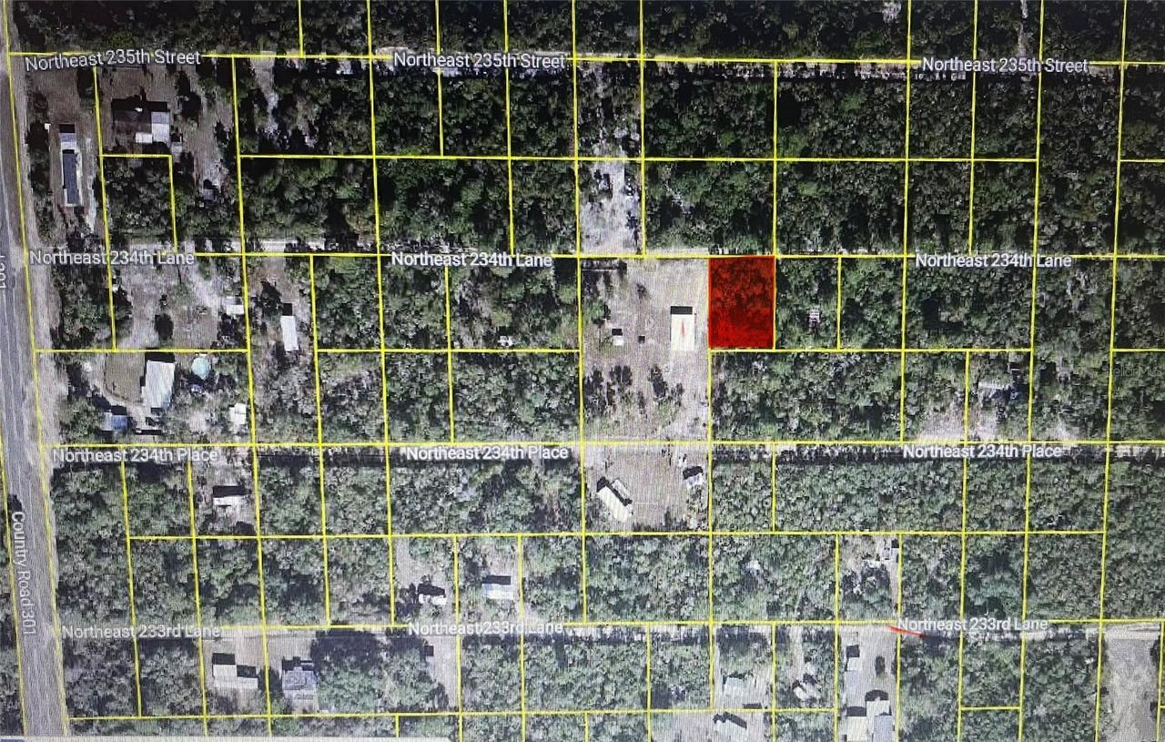 TBD NE 234th Ln., Fort Mc Coy, FL 32134