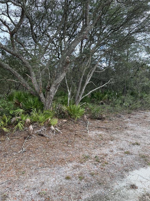 NE 144 Ct., Fort Mc Coy, FL 32134