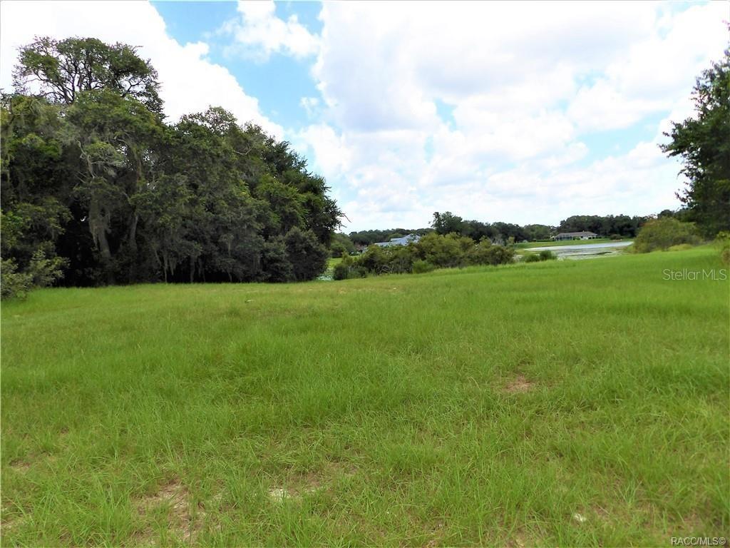 9546 E Baymeadows Dr., Inverness, FL 34450