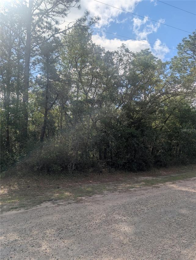8791 N Folland Dr., Dunnellon, FL 34433