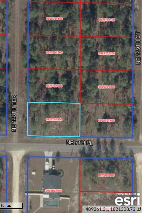NE 7th Pl., Williston, FL 32696