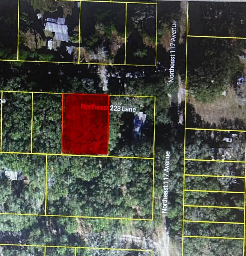 TBD NE 223rd Lane, Fort Mc Coy, FL 32134