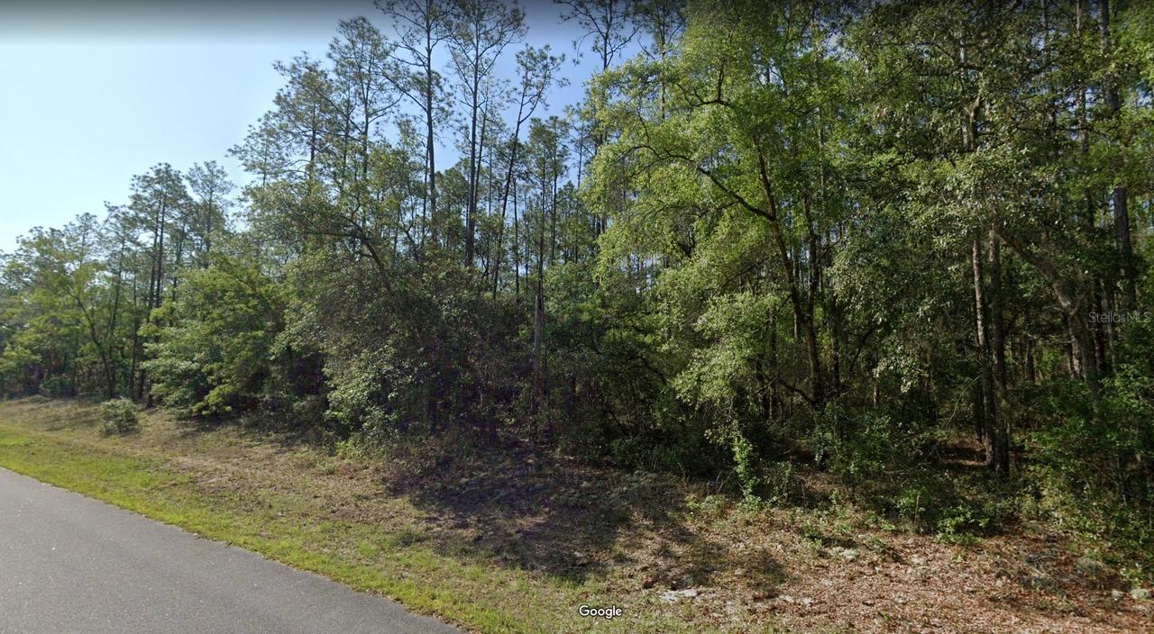 546 E Bimini Dr., Dunnellon, FL 34434