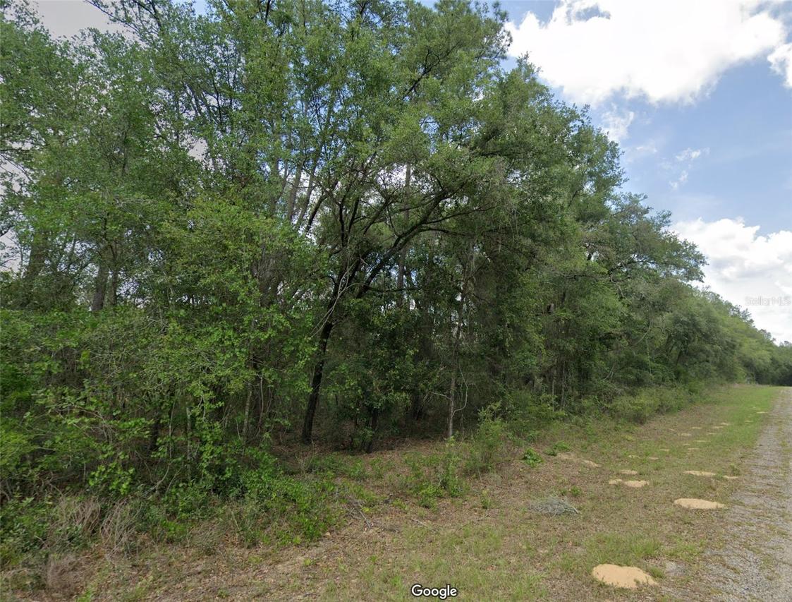737 E Byrd Loop, Dunnellon, FL 34434
