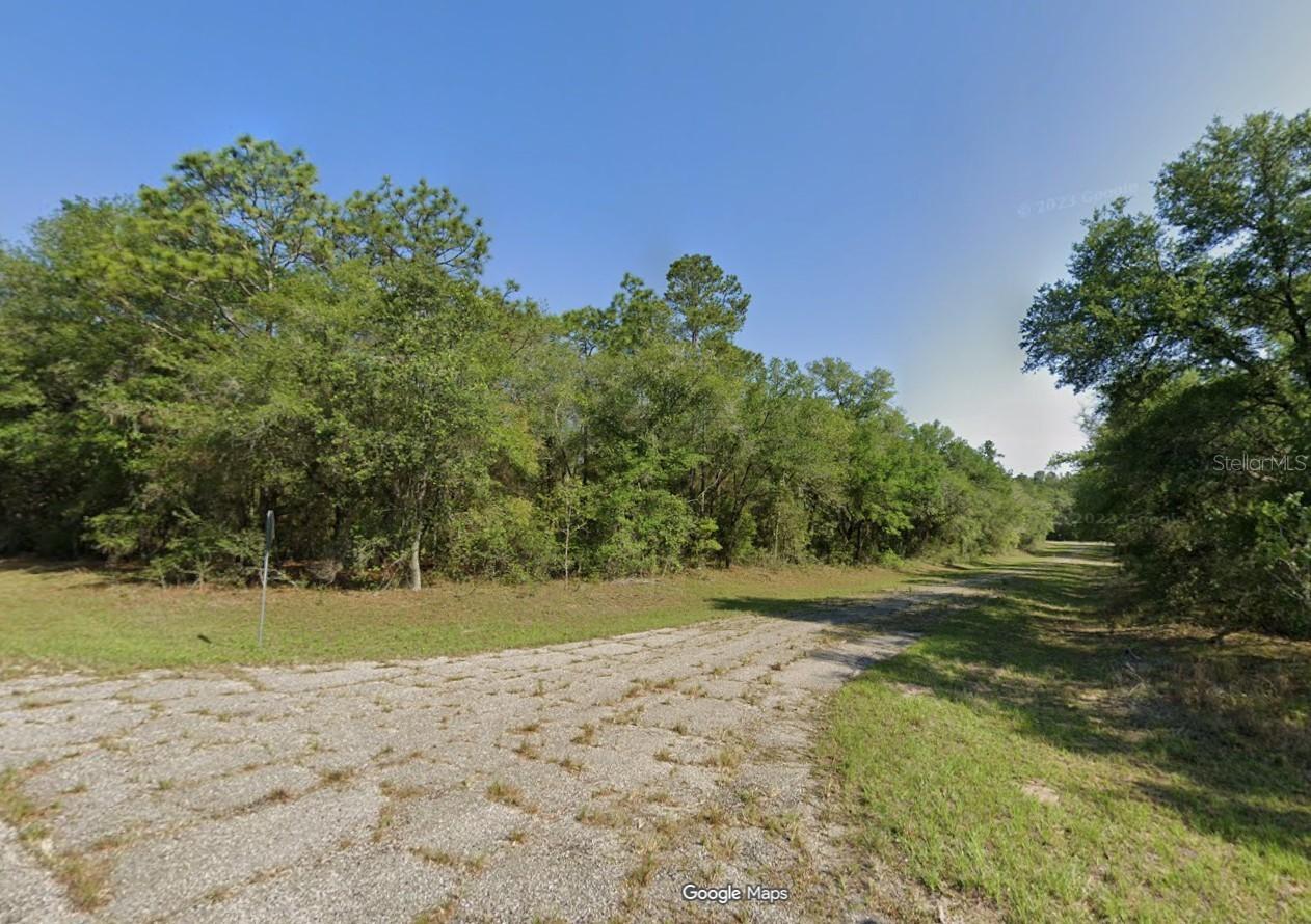 9300 N Lampson Ter., Citrus Springs, FL 34434