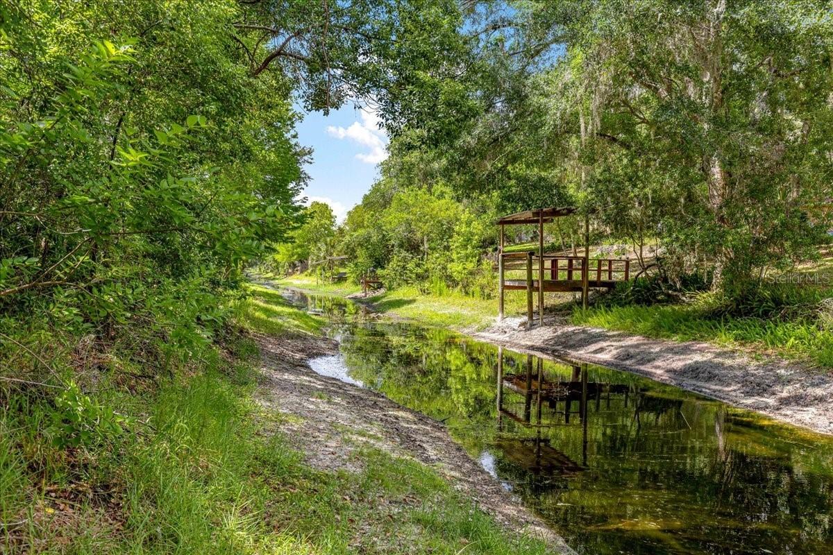 2964 S Cygnet Ter., Inverness, FL 34450