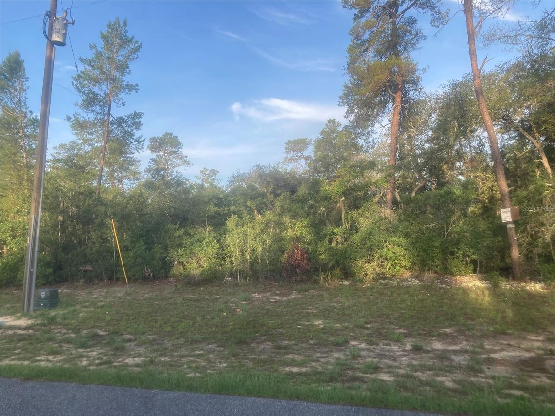 00 SW 50th Terrace Rd., Ocala, FL 34473