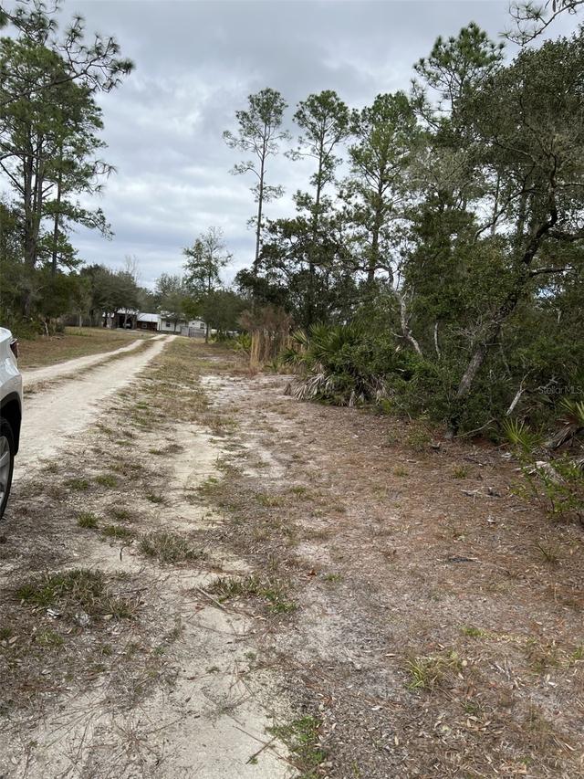 00 NE 144th Court .25, Fort Mc Coy, FL 32134