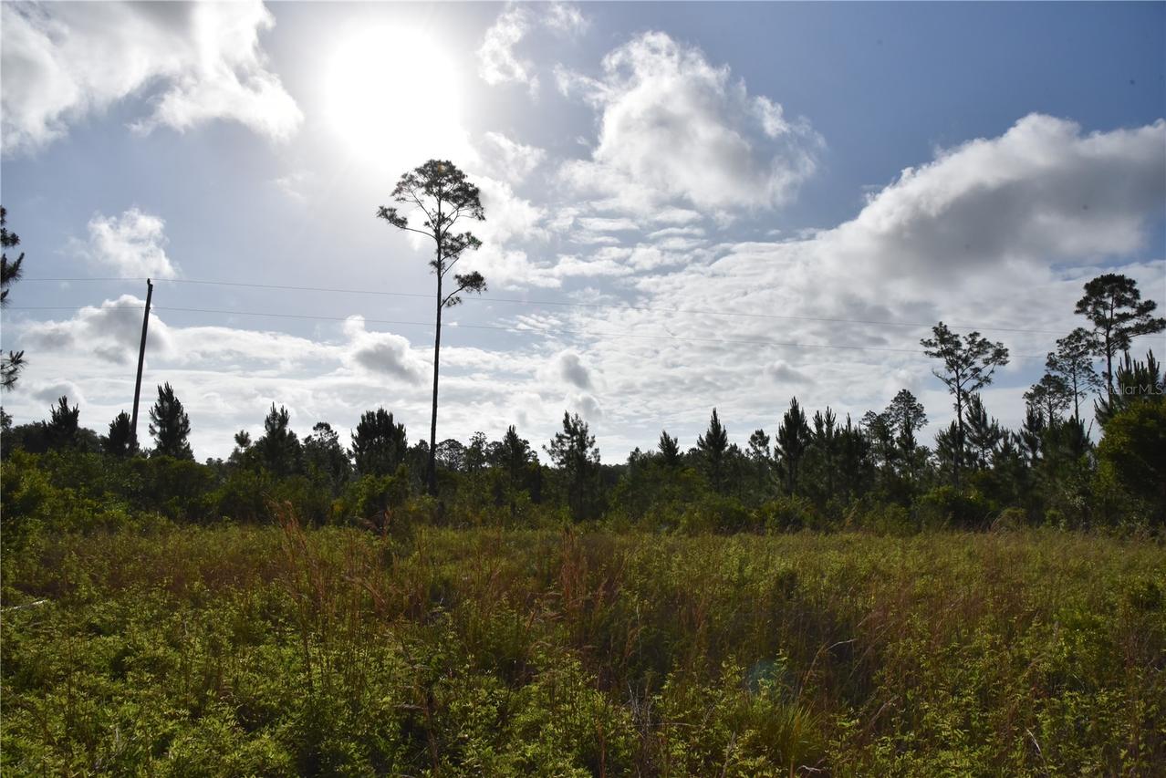 22370 NE 130th Ave., Fort Mc Coy, FL 32134