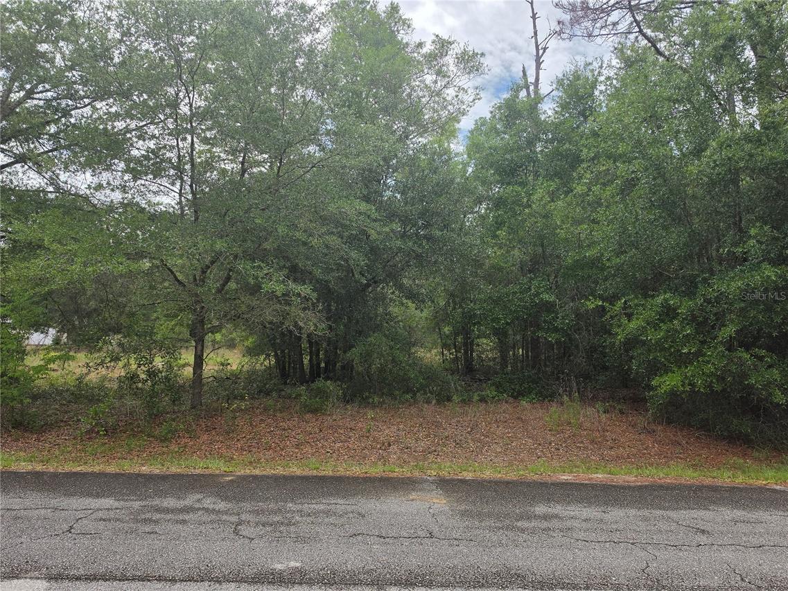 SW 202nd Ct., Dunnellon, FL 34431
