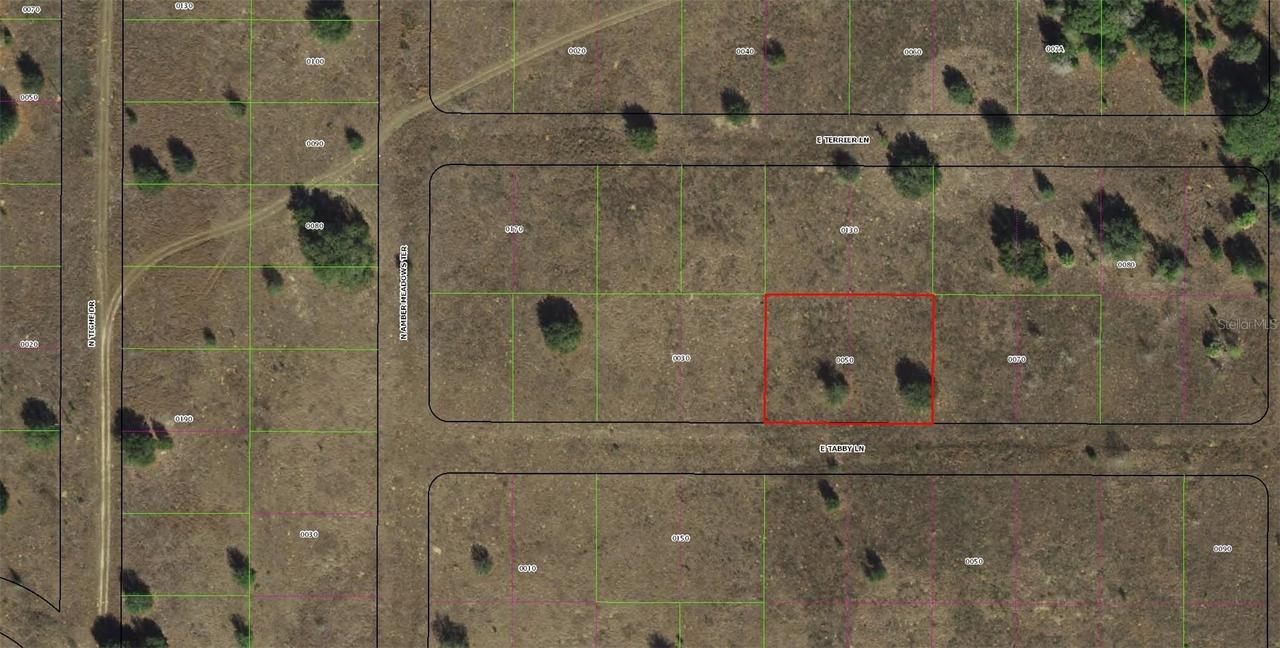2307 E Tabby Ln., Inverness, FL 34453