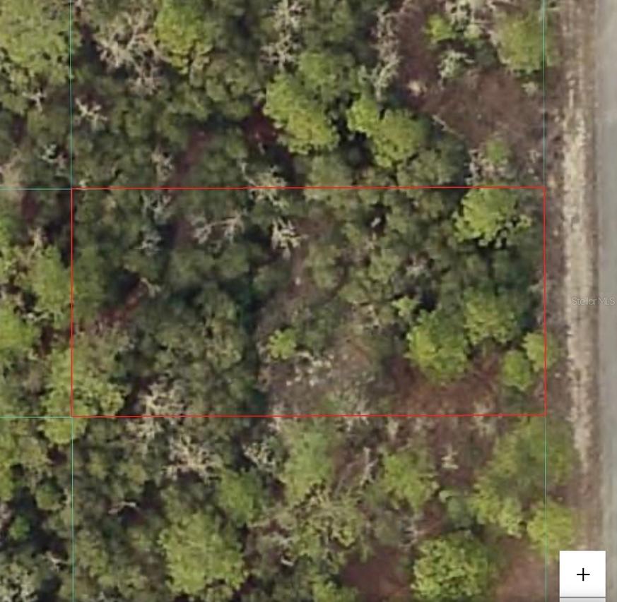 TBD SW Seaweed Ave., Dunnellon, FL 34431