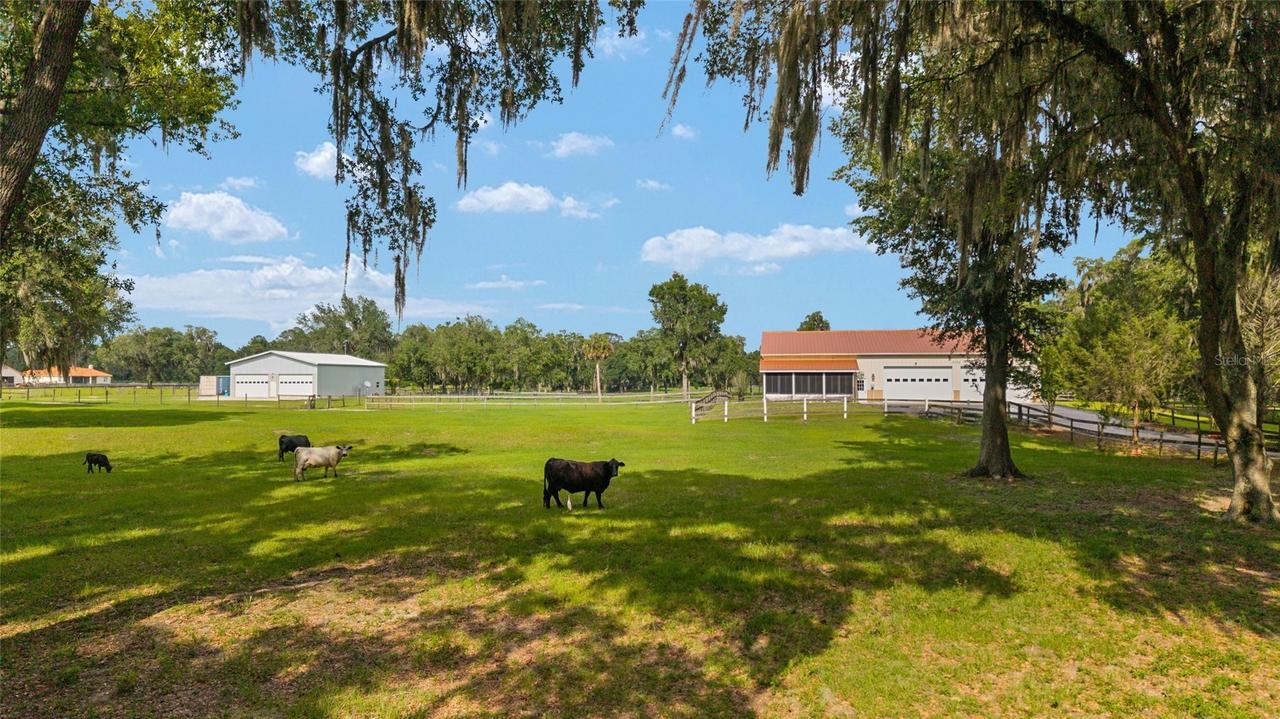 2035 NW 150th Ave., Ocala, FL 34482