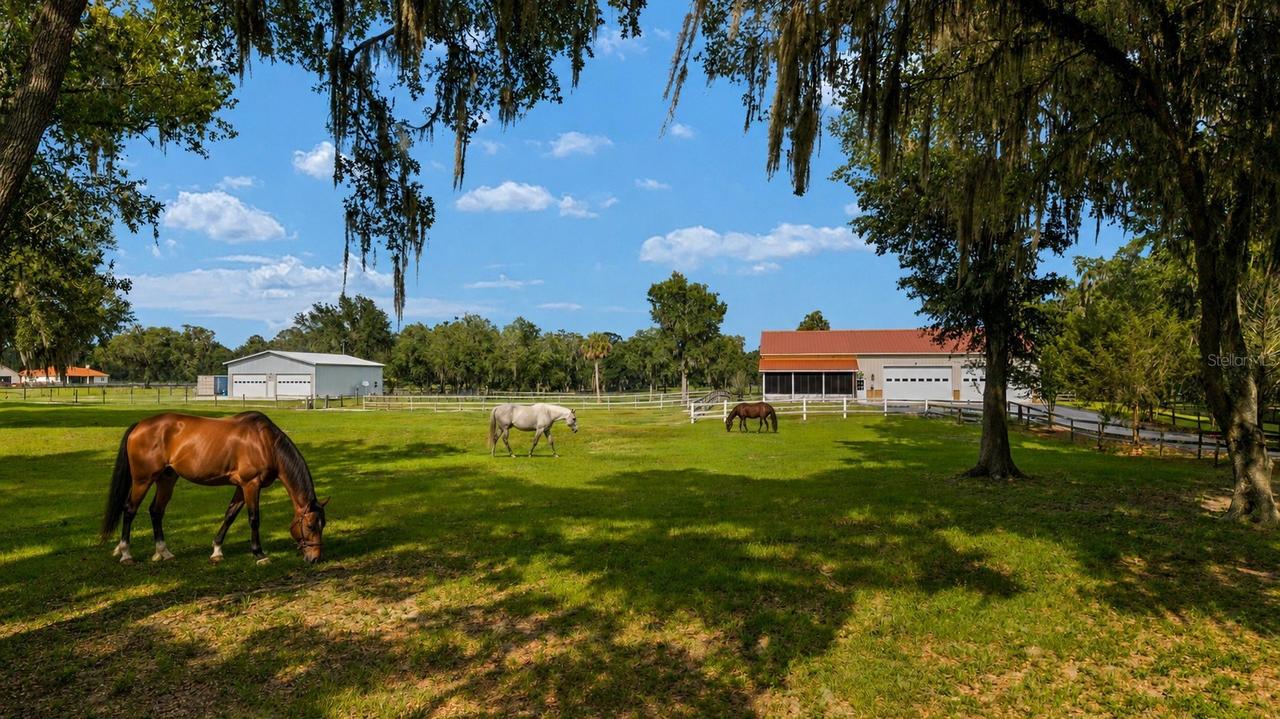 2035 NW 150th Ave., Ocala, FL 34482