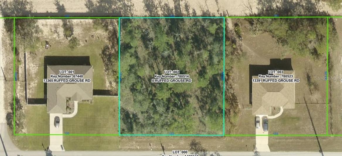 Ruffed Grouse Rd., Weeki Wachee, FL 34614