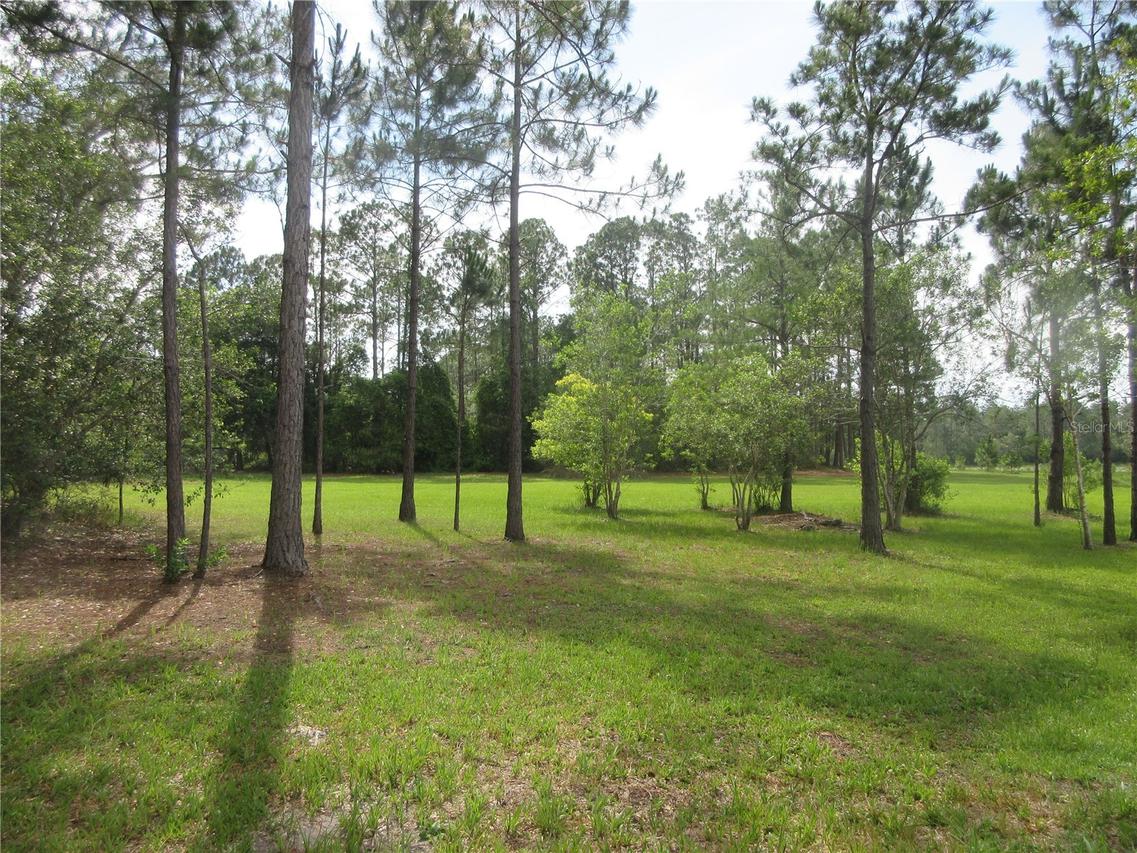 SE 10th St., Silver Springs, FL 34488