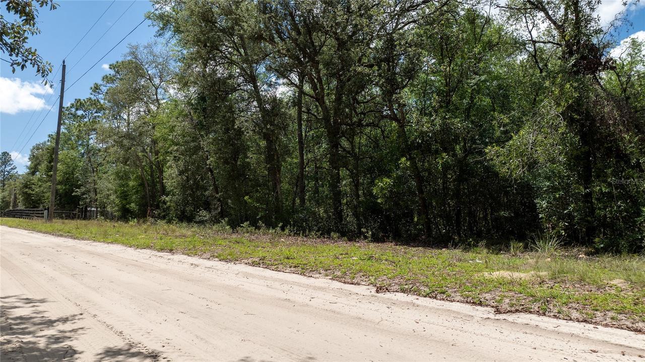 Ne 71st Street, Bronson, FL 32621
