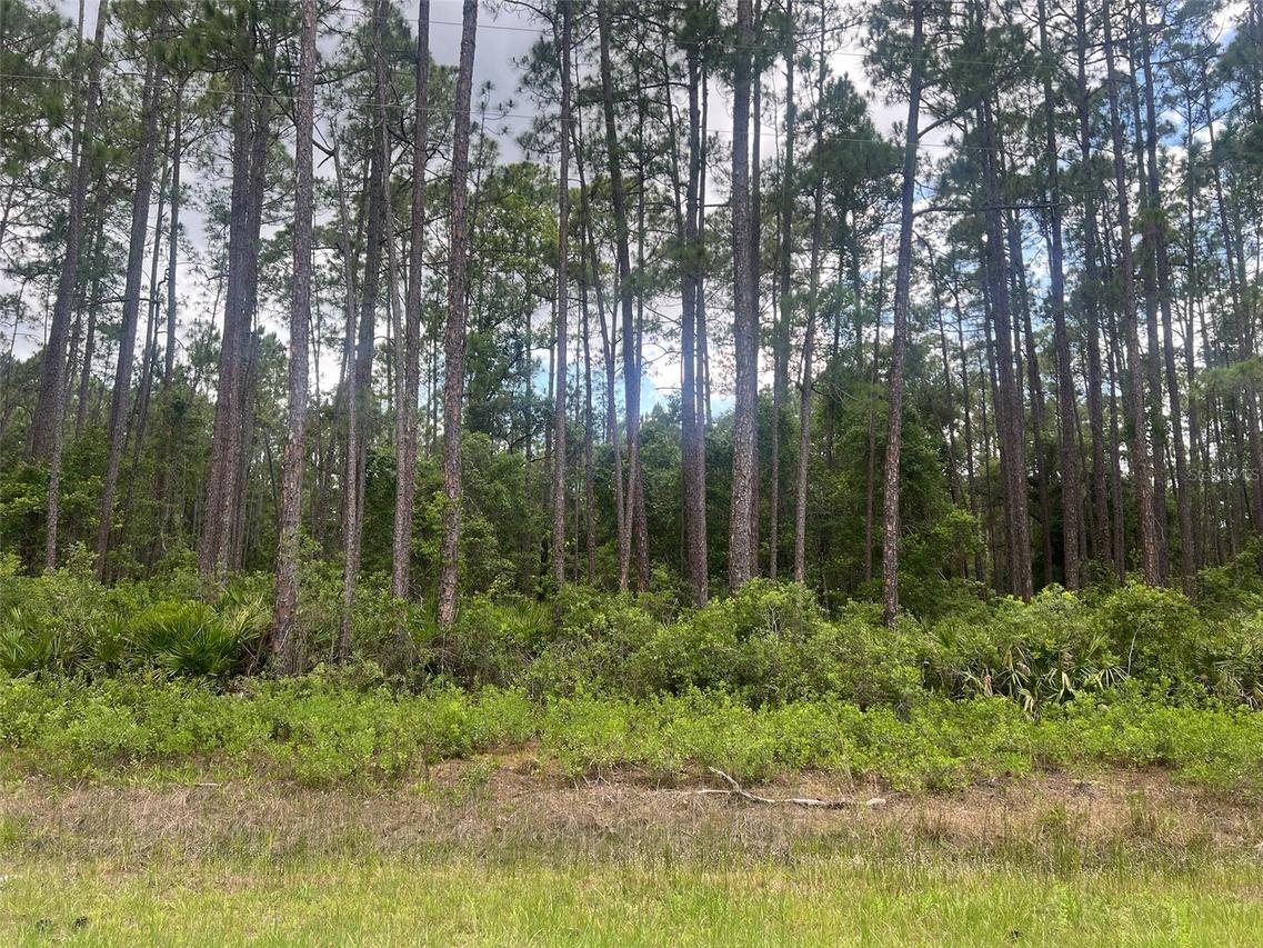 137 E Boundary Dr., Georgetown, FL 32139