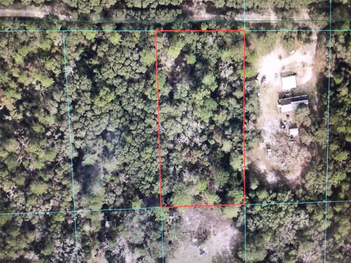 SW 156 Pl., Dunnellon, FL 34432