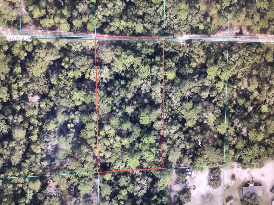 SW 153 Ln., Dunnellon, FL 34432